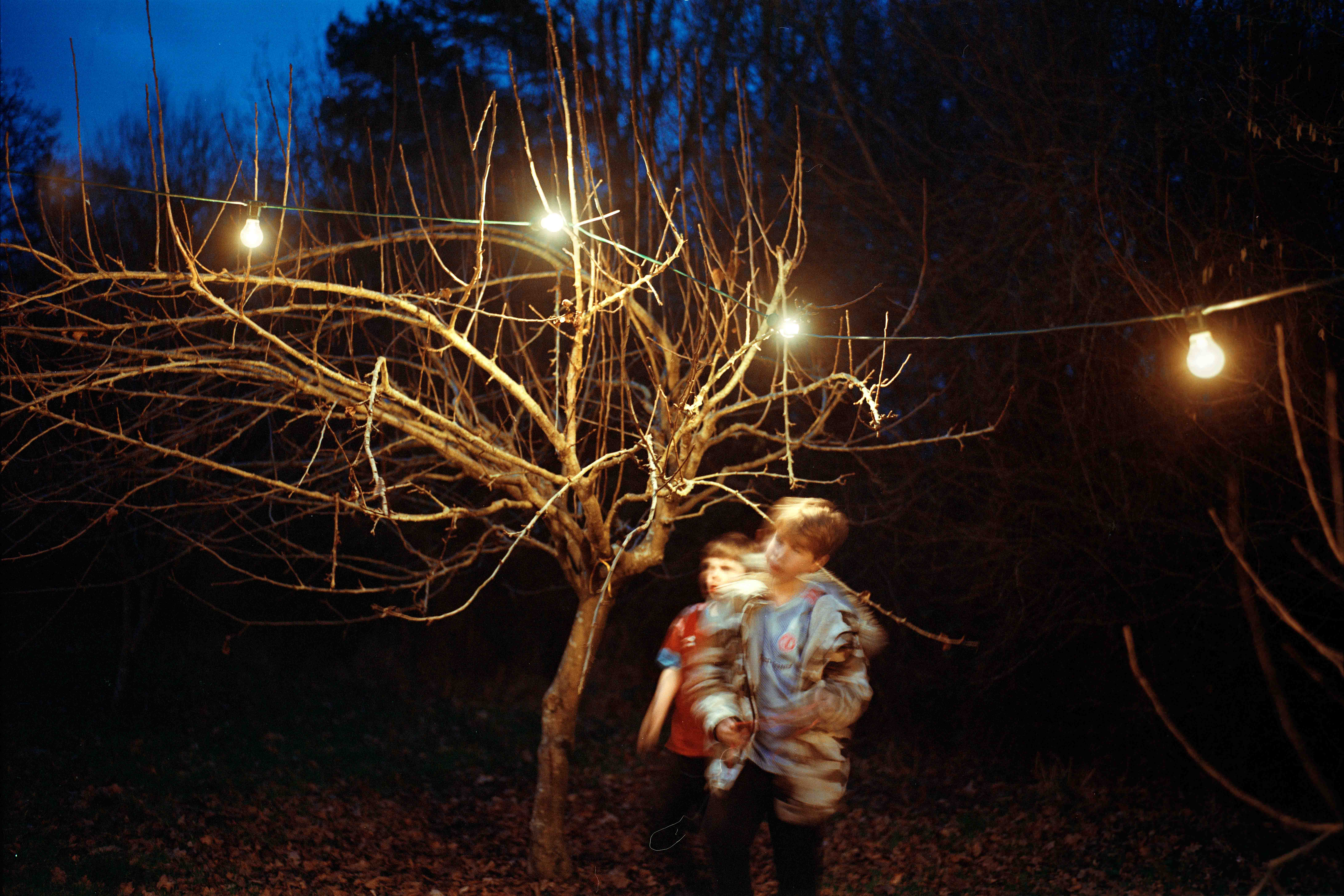 Two boys blurred underneath apple tree