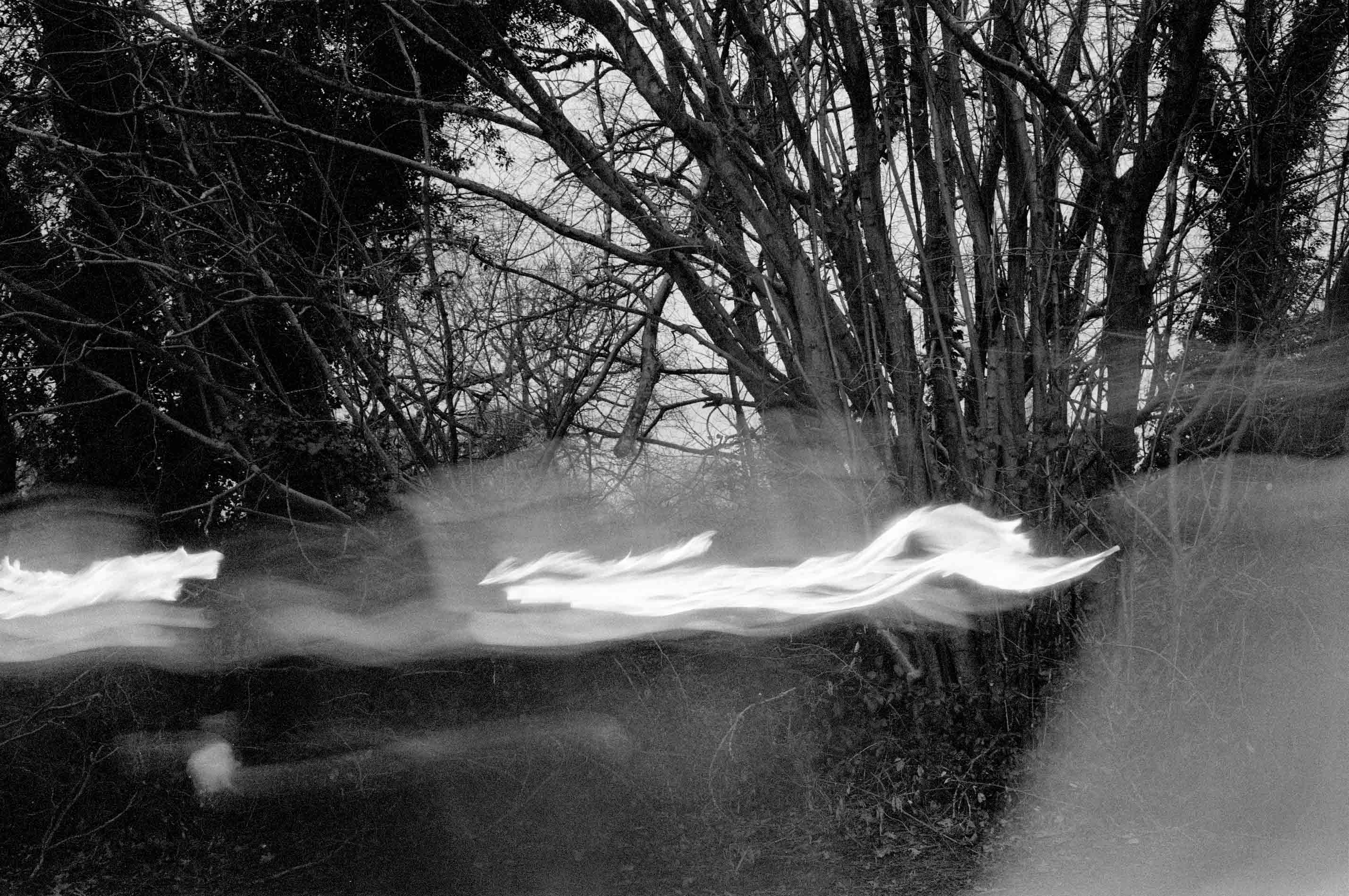 Blurred procession moves left