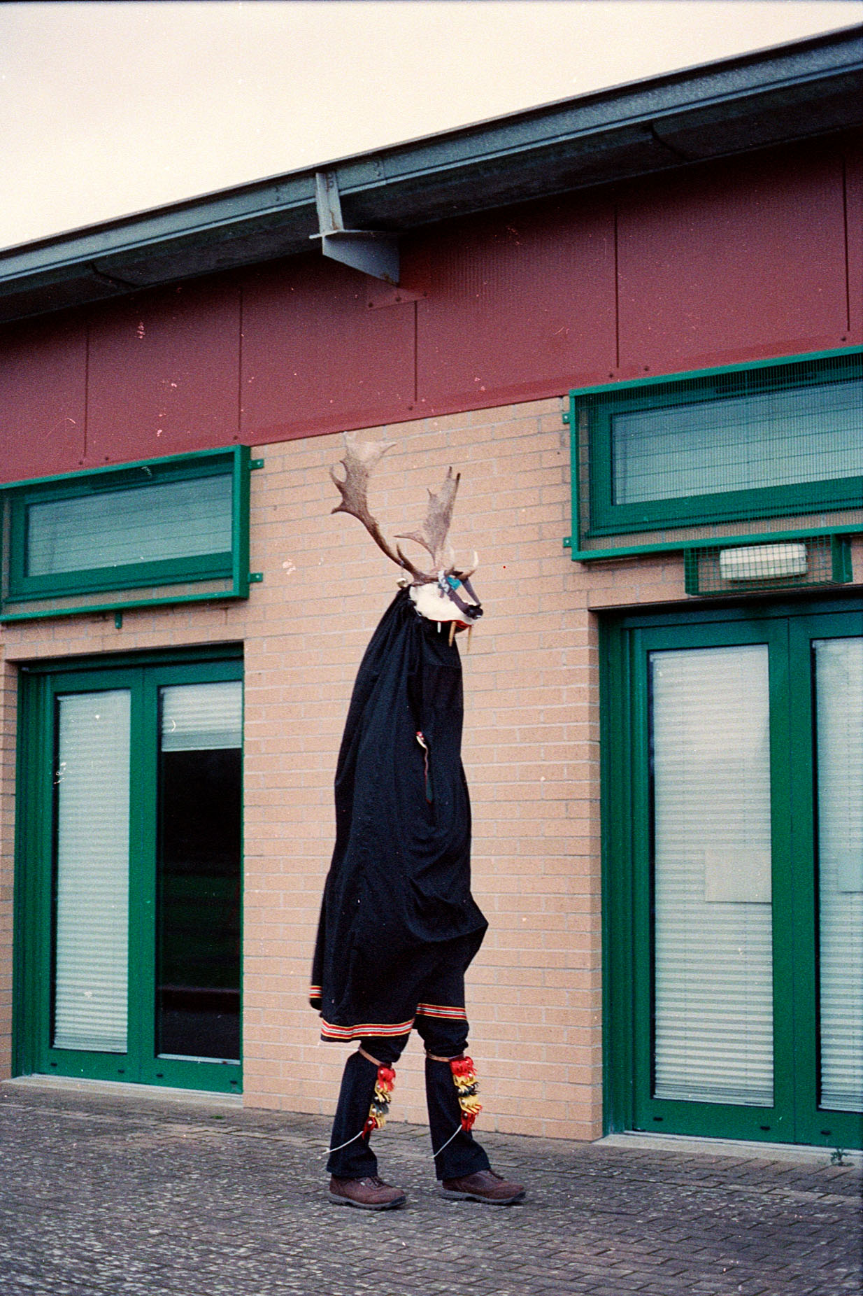 Mari Lwyd deer head creature