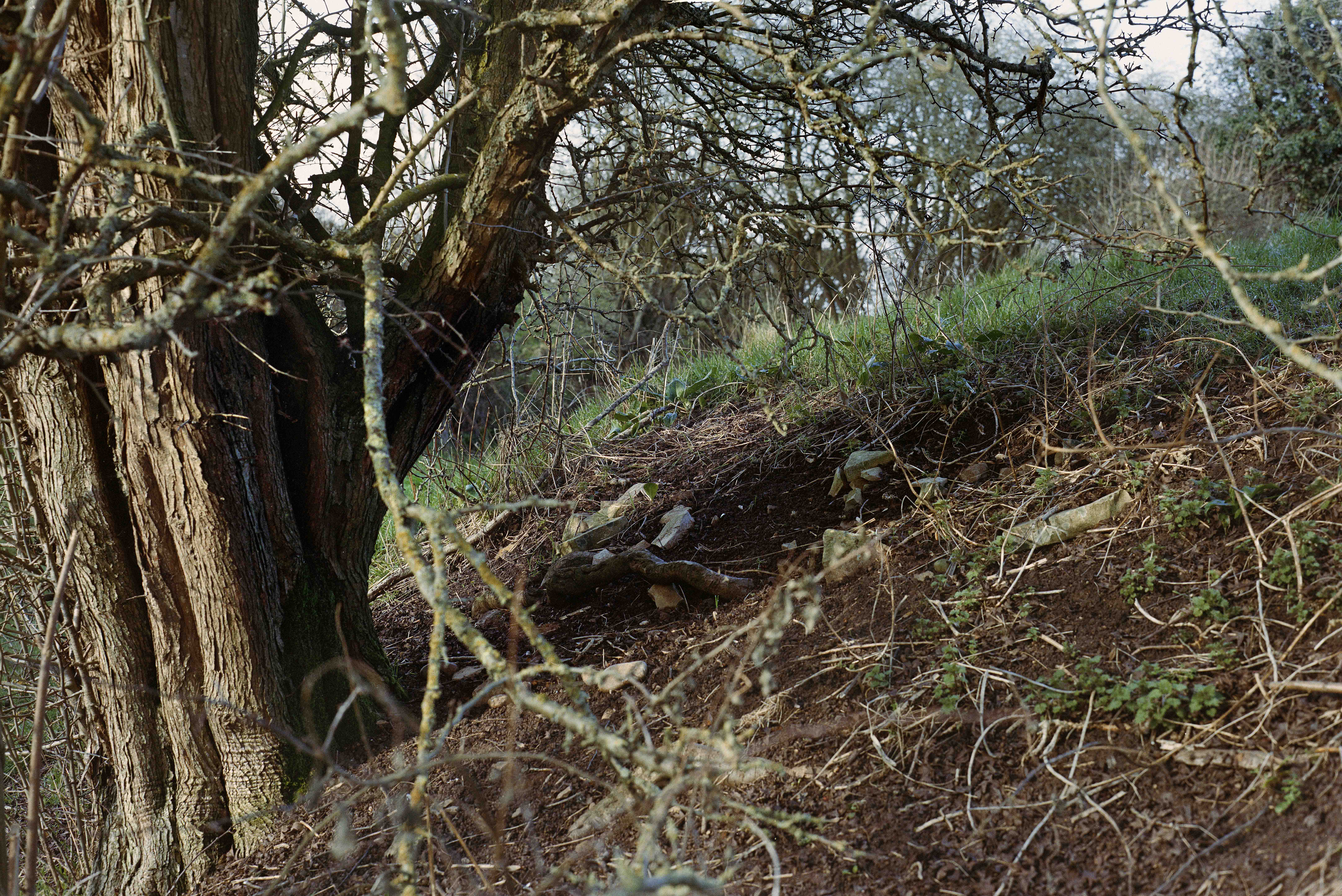Medieval monastic moat, side view