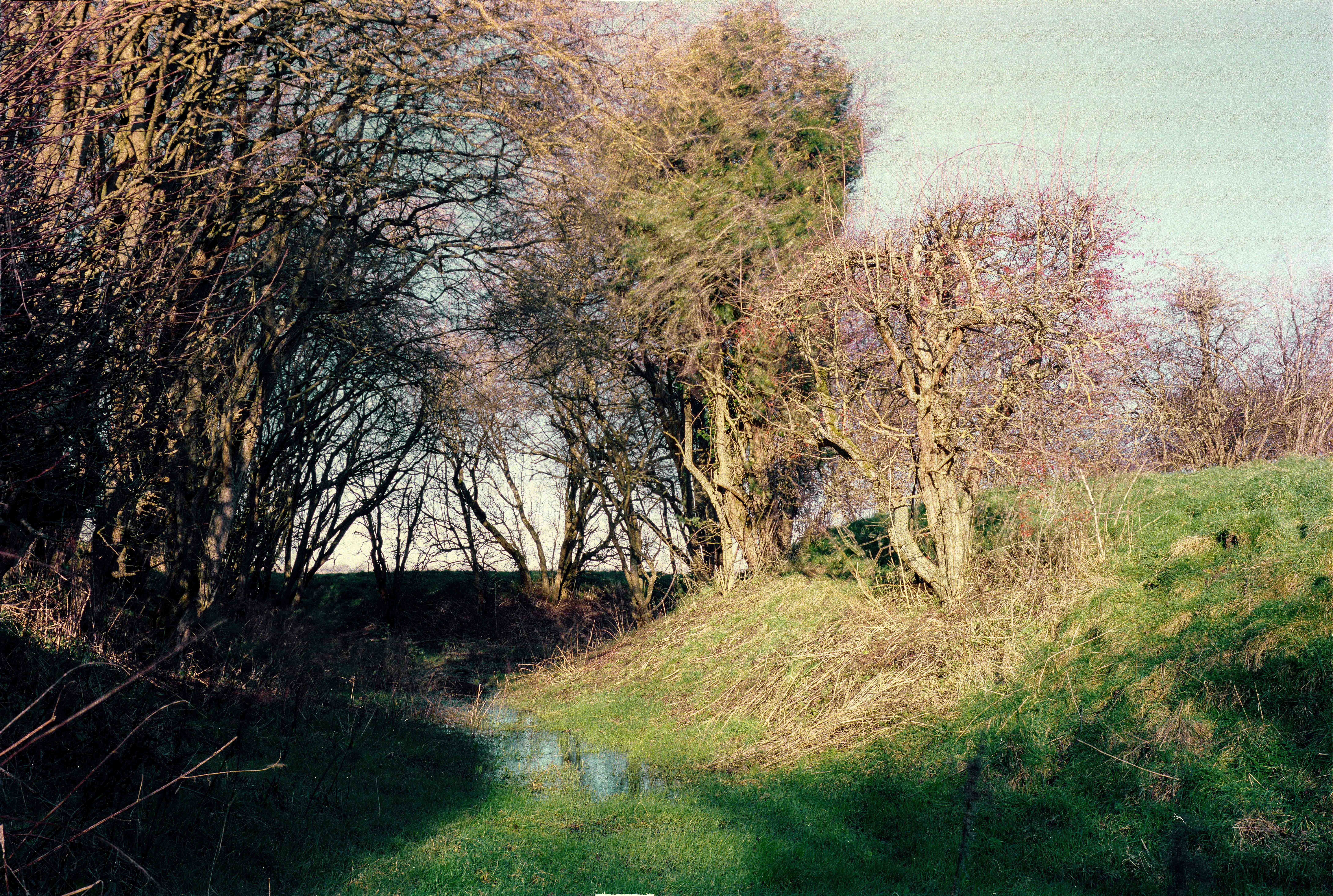 Medieval monastic moat